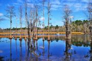 Photo: LAURA S. WALKER STATE PARK