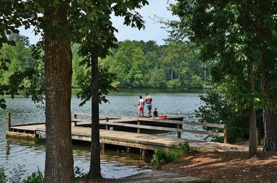 Located between Atlanta and Athens, this popular park features a 1792 log fort built by settlers for protection against Creek and Cherokee Indians. Today, visitors come to Fort Yargo for its wide variety of outdoor recreation and scenery. Mountain bikers and hikers can test their endurance on 18 miles of trails. A 260-acre lake offers a large swimming beach, fishing and boat ramps. The park’s heavily wooded disc golf course is exceptionally challenging. For a unique camping experience, visitors can reserve lakeside yurts, which are like canvas and wooden tents. Each yurt has furniture inside and a fire ring outside. Within the park is Camp Will-A-Way, a fully accessible retreat operated by Camp Twin Lakes.