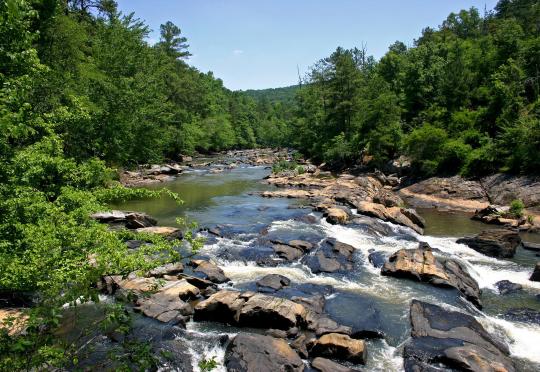 Hiking in Georgia State Parks  Department Of Natural Resources